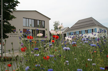 Störungsnummer - Beispielbild